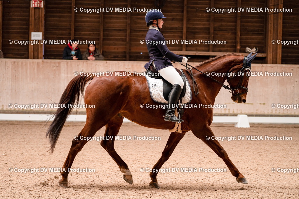 Dressur Tag 2-257 | dv-media-shop - Realisiert mit Pictrs.com