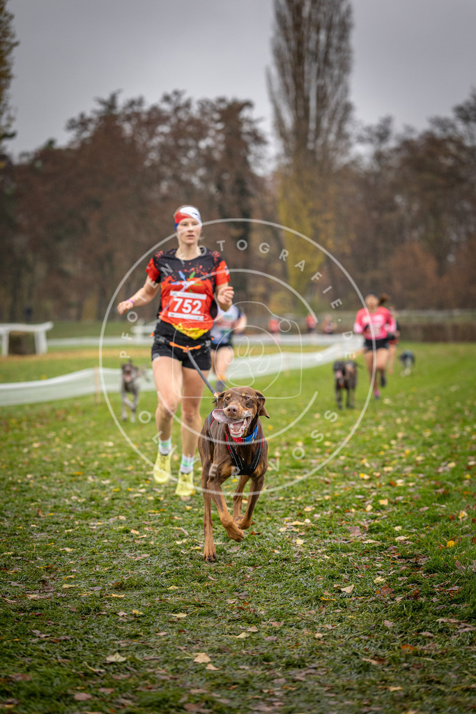 CaniXpix_DV3A9304 | Hundefotografie, Tierfotograf, Pfotenfotografie, Fotoshooting Hund, Hunde Portrait, Hundesport, Hundeportraits, Heideshooting, Hunde, Sportfotograf, Hundefotograf, Turnierhundsport, THS,  - Realisiert mit Pictrs.com