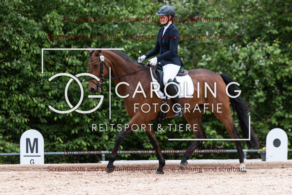 DSC_6947 | Turnierfotografin Carolin Gieschke,Reitsport Turnierfotografie Carolin G Fotografie | Turnierfotos aus Kirchheim/Teck, Esslingen, Stuttgart und dem Bodenseekreis