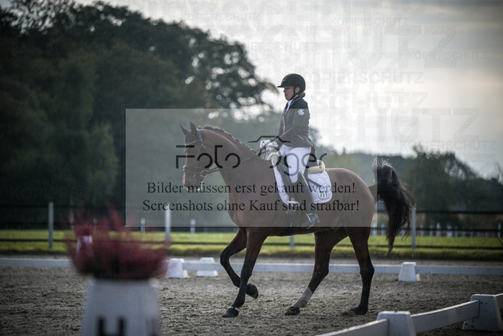 DOS_B010 | Entdecke hochwertige Reitturnierfotos von Foto Oger. Professionell, emotional und authentisch – jetzt Lieblingsmomente im Shop bestellen.Deutschlandweite Turnierfotografie. - Realisiert mit Pictrs.com