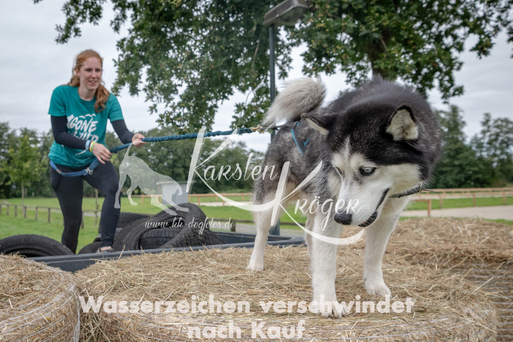 1231_ZZ91056 | kk-dogfotos