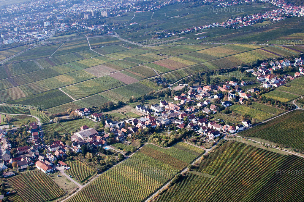 Luftbild: Kurpfalzstraße Loblocher Straße im Ortsteil Mußbach in Neustadt im Bundesland Rheinland-Pfalz in Deutschland. Foto: IMG_22041.jpg vom 15.10.2009 durch Werner Riehm/FLY-FOTO.de