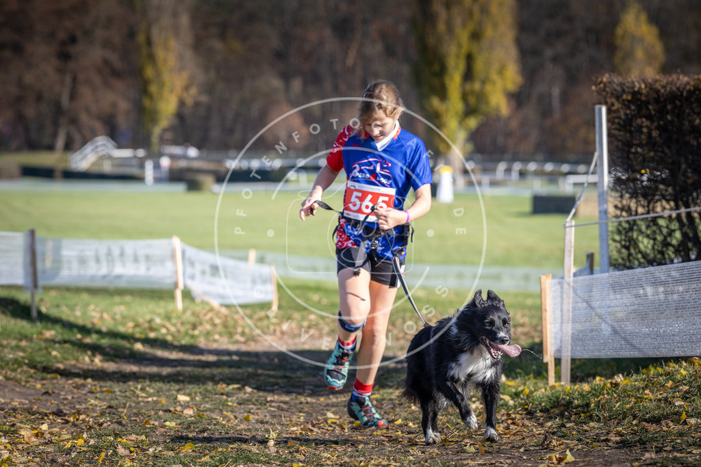 CaniXpix_DV3A8770 | Hundefotografie, Tierfotograf, Pfotenfotografie, Fotoshooting Hund, Hunde Portrait, Hundesport, Hundeportraits, Heideshooting, Hunde, Sportfotograf, Hundefotograf, Turnierhundsport, THS,  - Realisiert mit Pictrs.com
