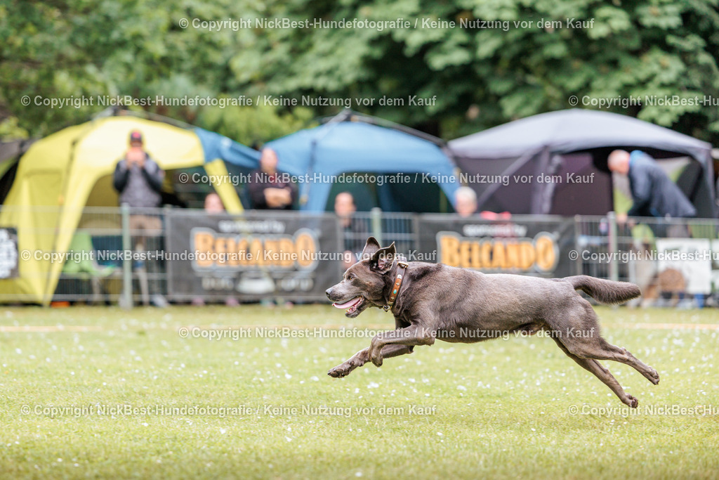 RO-Blumenthal-2026-Nickbest-Hundefotografie-3021 | Dein Hund! Dein Moment! Deine Erinnerungen! Hundefotografie in Bremen Blumenthal. Ich fange die besonderen Momente deines Vierbeiners ein – ob Indoor mit Blitzanlage oder in der freien Natur. Sicher dir dein Moment und dein Termin für eure Erinnerungen.