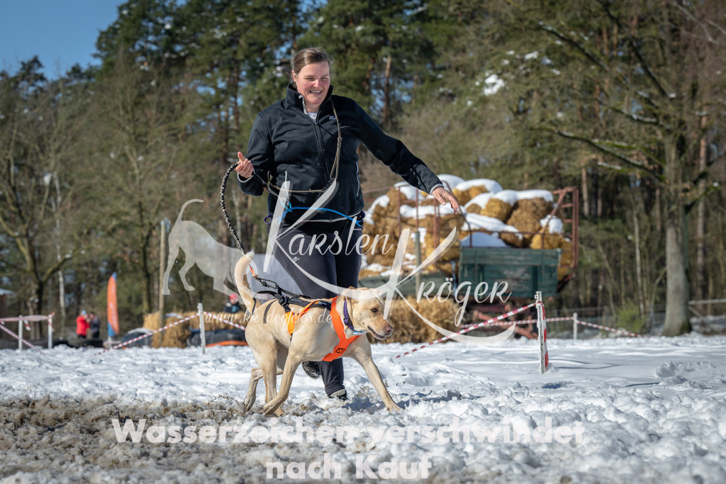 1223_ZZ92535-3 | kk-dogfotos