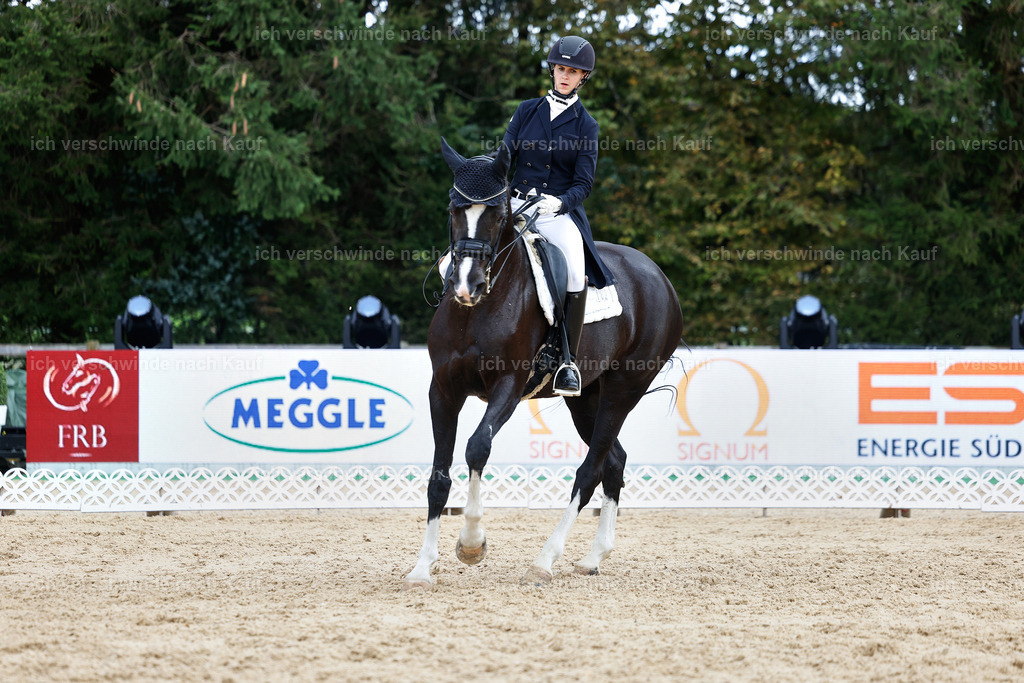 6-182-AMATUER-DRESSUR S_  -StoibPH-3502 | working equitationturnier fotograf videograf stoibphotography marixx film working equitation deutschland reitsport turnierfotografie eventfotografie equestrian events