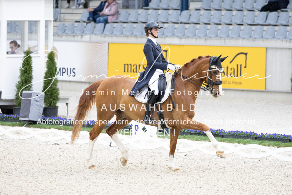 126A2386 | jasminmetznerfotografie