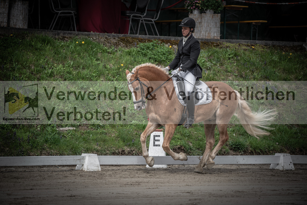 DSC_9129 | equestrian-live-com