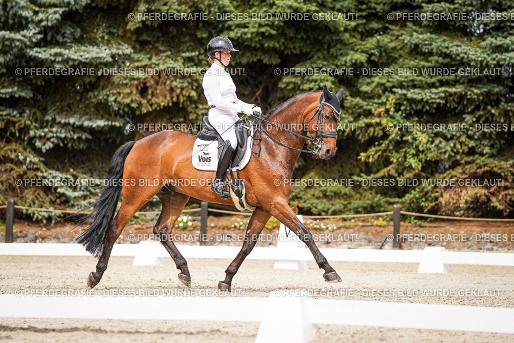 DSC06798 | Pferdegrafie