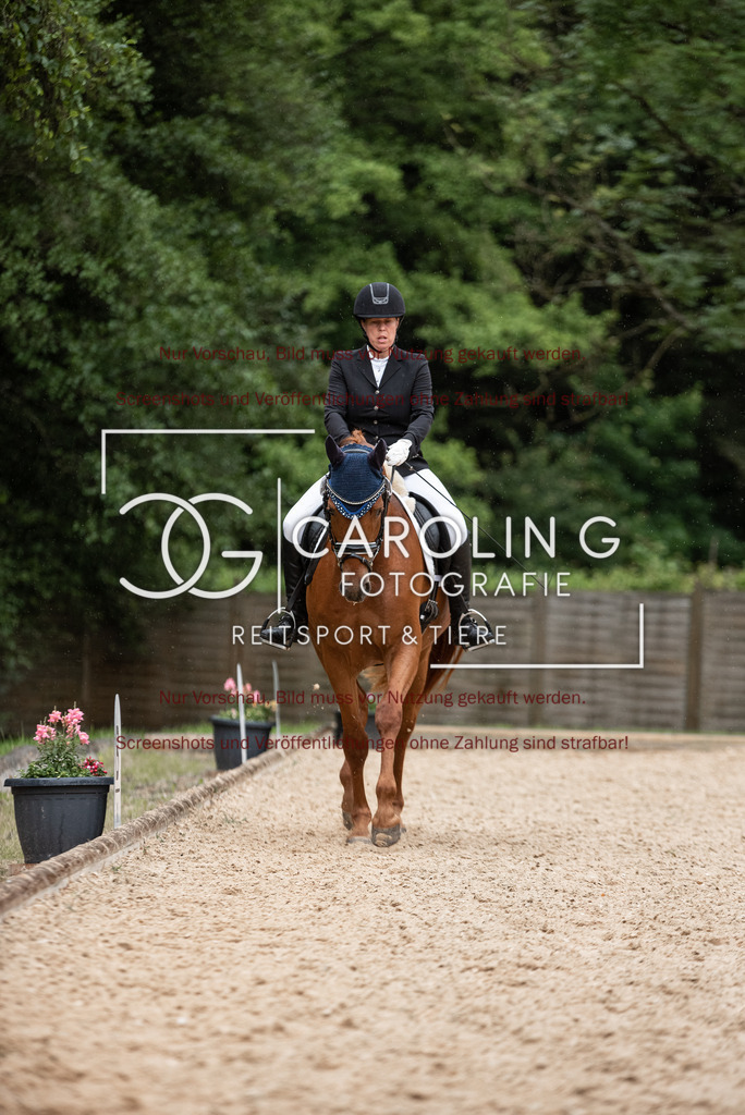 DSC_3189 | Turnierfotografin Carolin Gieschke,Reitsport Turnierfotografie Carolin G Fotografie | Turnierfotos aus Kirchheim/Teck, Esslingen, Stuttgart und dem Bodenseekreis