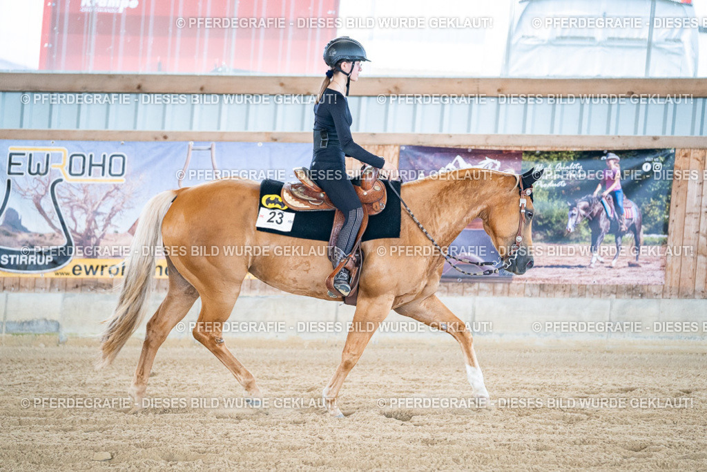 DSC04581 | Pferdegrafie