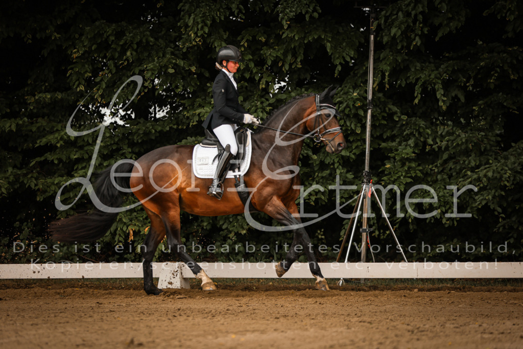 17.SoDrL00065 | Leoni Ertmer Photography - Realisiert mit Pictrs.com