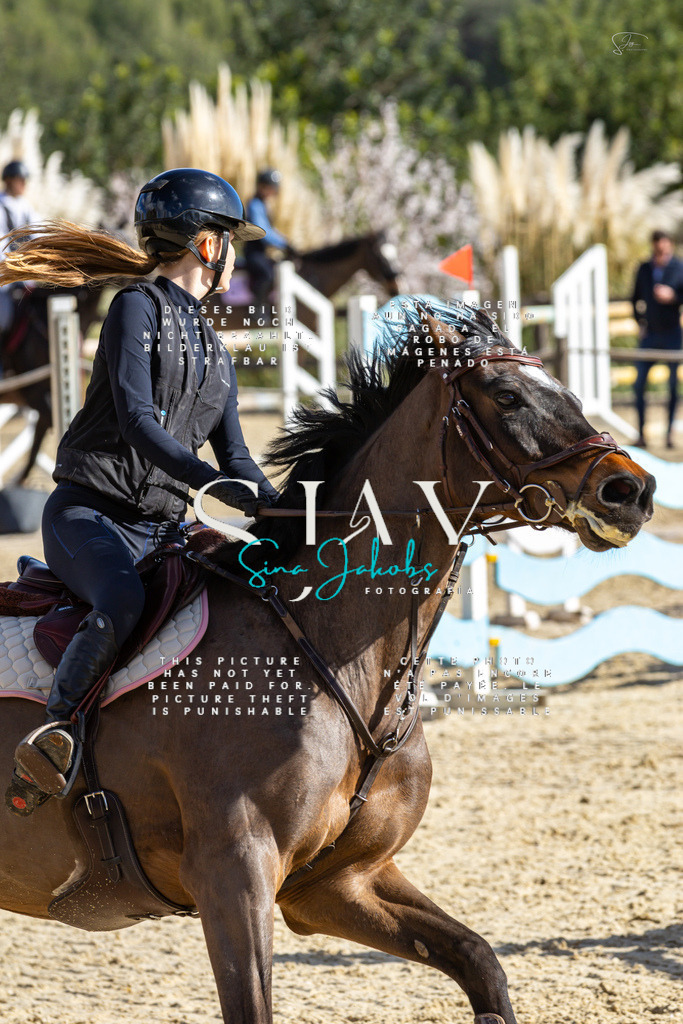 IMG_4132 | s-jay-photography - Realisiert mit Pictrs.com