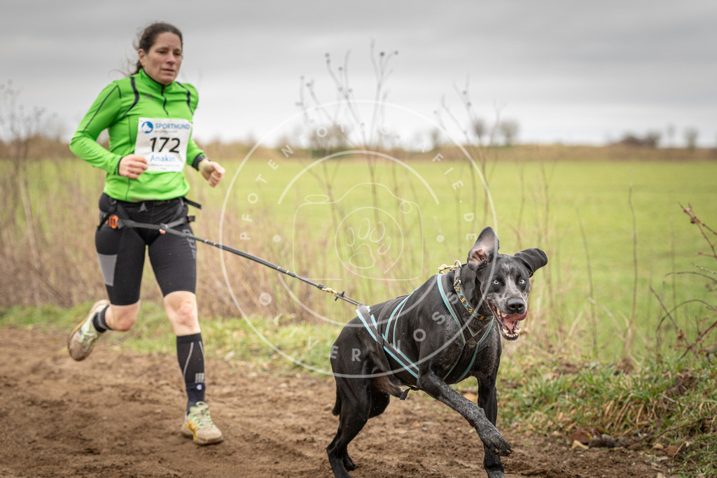 DV3A1980 | Hundefotografie, Tierfotograf, Pfotenfotografie, Fotoshooting Hund, Hunde Portrait, Hundesport, Hundeportraits, Heideshooting, Hunde, Sportfotograf, Hundefotograf, Turnierhundsport, THS,  - Realisiert mit Pictrs.com