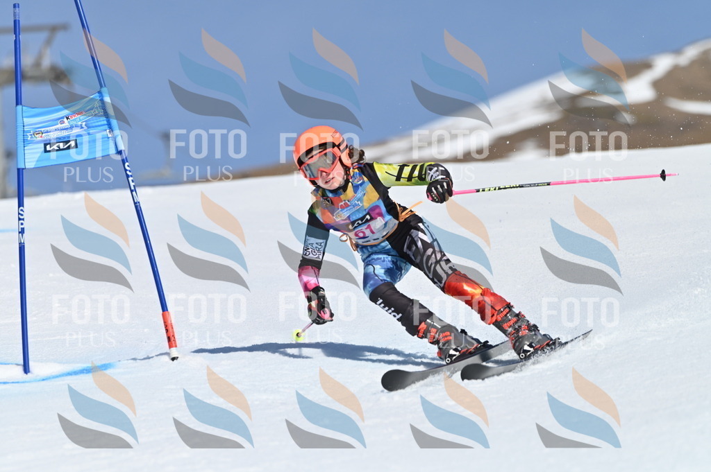 BGV_8746 | holidayphoto