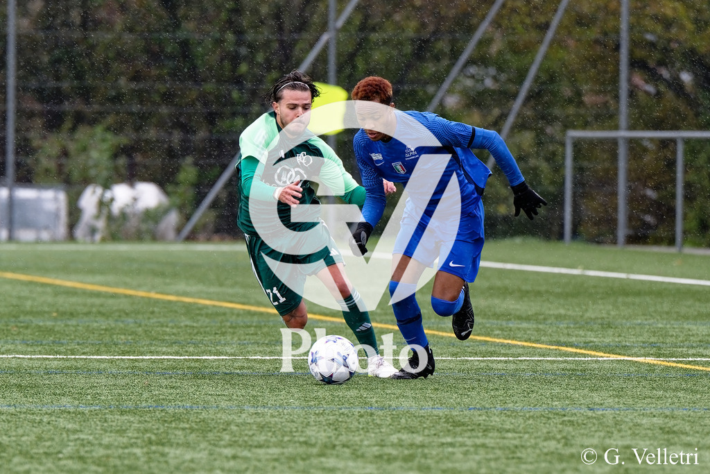 DSC_5926 | Velletri Photo