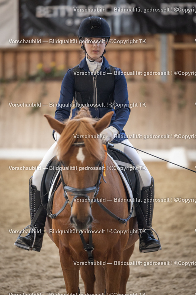 _D5A5777 | Emotionale Pferde- & People-Fotografie rund um Heidelberg, Leimen & Umgebung. Natürliche Fotos von Pferd, Mensch & Familie. Jetzt Termin sichern!