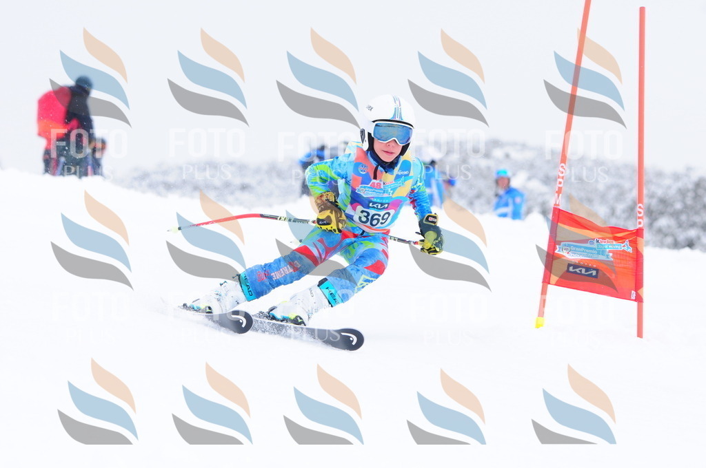 C3950 | holidayphoto