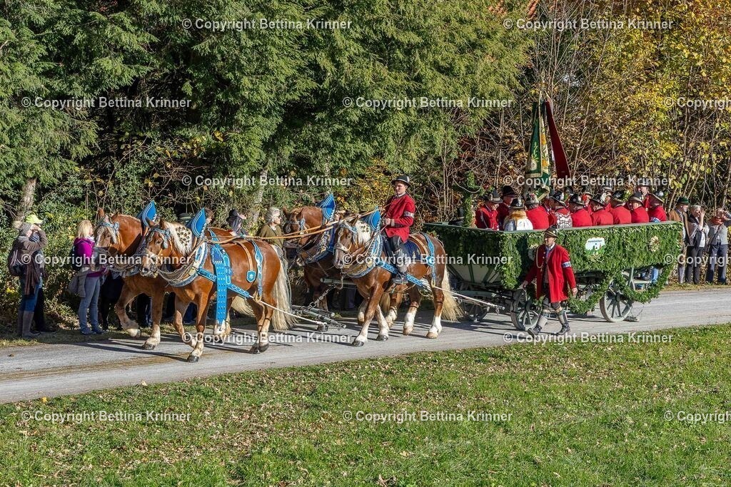 LBT25-862 | foto-bettina-krinner - Realisiert mit Pictrs.com