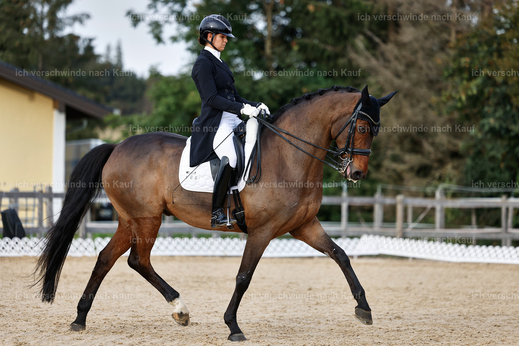 13-186-S___ -StoibPH-7015 | working equitationturnier fotograf videograf stoibphotography marixx film working equitation deutschland reitsport turnierfotografie eventfotografie equestrian events