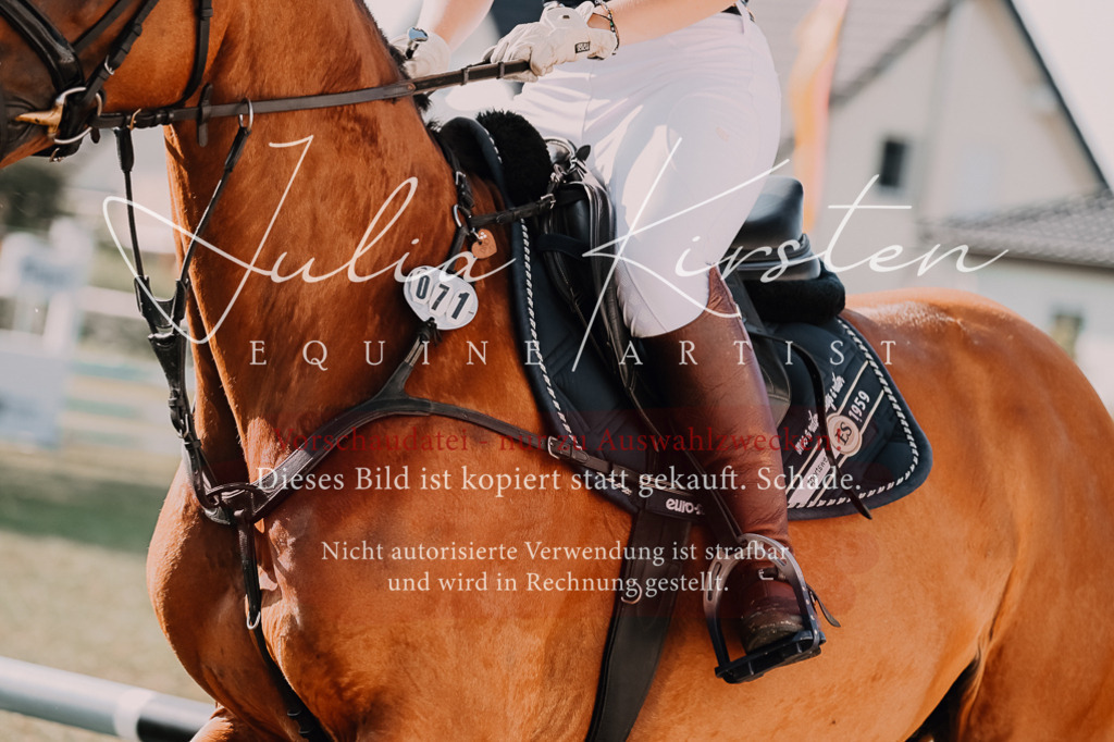 DSC_4659 | Pferde- und Turnierfotografie in Westsachsen. Pferdeportraits, Auftragszeichnungen und intuitive Kunst.
