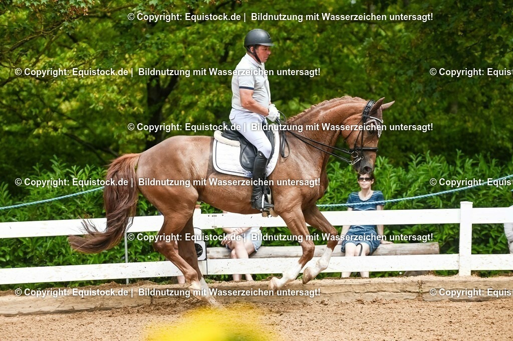 20230716_01_Dressurprüfung Kl.M_0107 | equistock