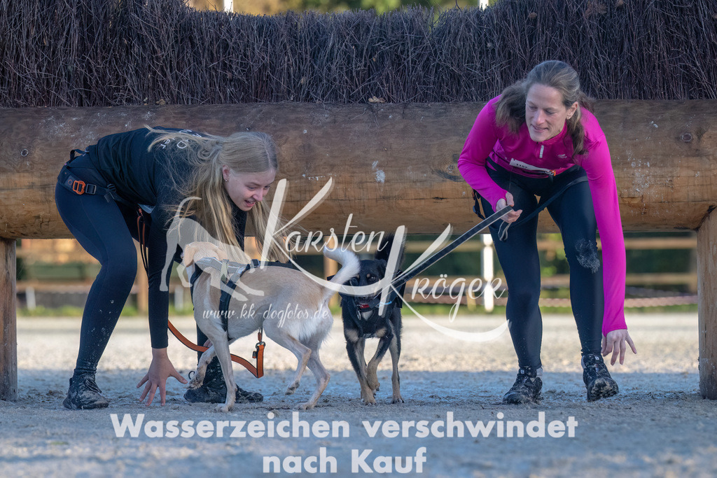 0849-00137 | kk-dogfotos