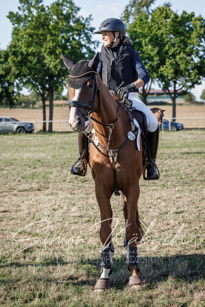 20260905-_3LI0846 | Tierfotografie Pferde, Hunde, Katzen, Haustiere.
Turnierfotografie Reitturniere, Reiten, Springreiten, Dressur in Hanau, dem Main-Kinzig-Kreis und dem Rhein-Main- Gebiet um Frankfurt