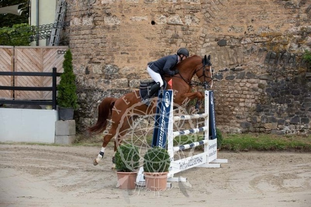 2B4A1133 | pixelfaenger - Realisiert mit Pictrs.com