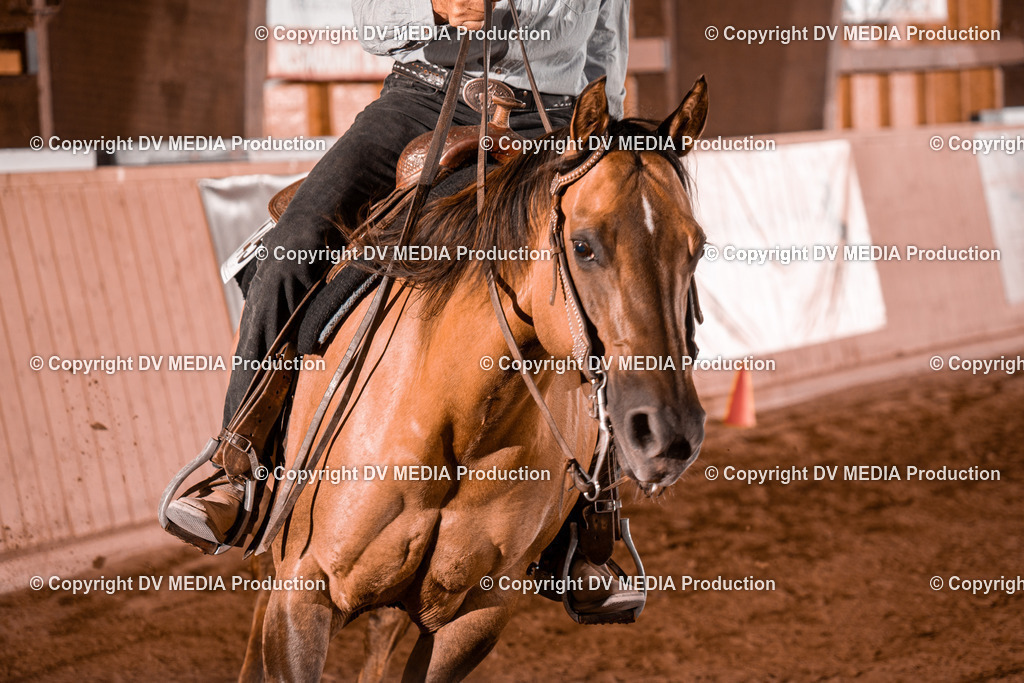 NE201484 | dv-media-shop - Realisiert mit Pictrs.com