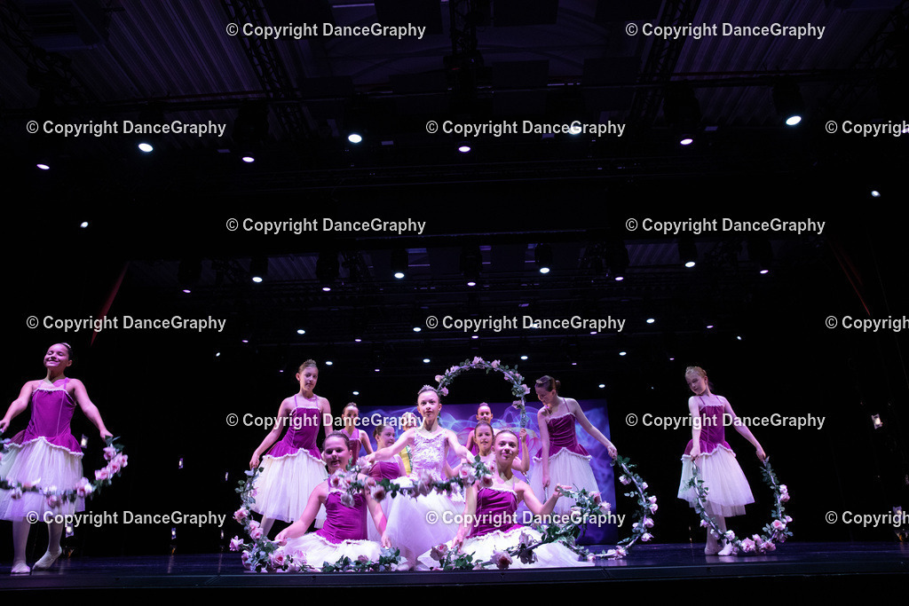 GPHY6001 | DanceGraphy - Realisiert mit Pictrs.com