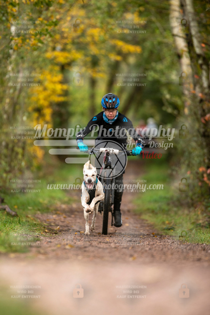 TSB_2023_E4_Bike-27 | PayLife