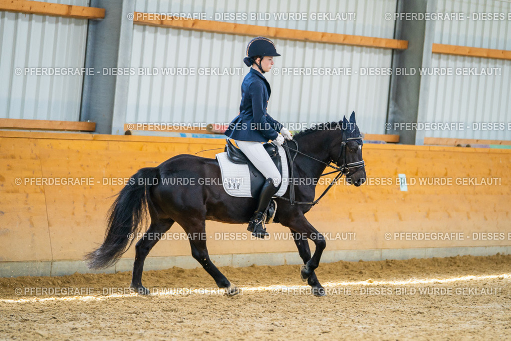 DSC08960 | Pferdegrafie