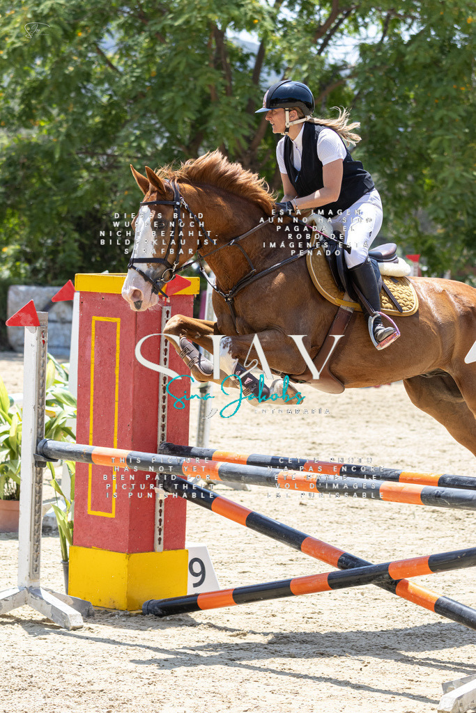 IMG_1546 | s-jay-photography - Realisiert mit Pictrs.com