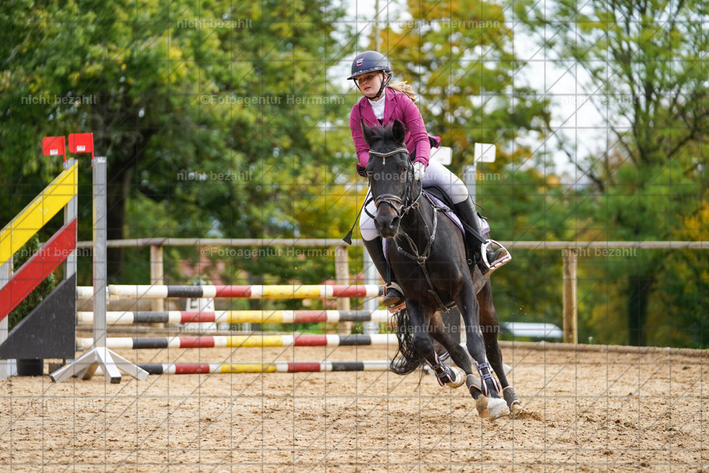 20221009-FAH08476 | Diessen am Ammersee, 2022, Dressur- und Springturnier, Reitsportbilder, Turnierfotografen Bayern, Pferdefotografen, Fotoagentur Herrmann, Turnierbilder