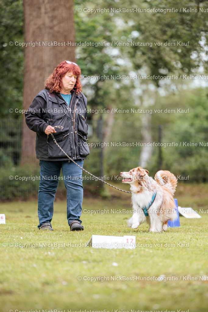 RO-Blumenthal-2026-Nickbest-Hundefotografie-3233 | Dein Hund! Dein Moment! Deine Erinnerungen! Hundefotografie in Bremen Blumenthal. Ich fange die besonderen Momente deines Vierbeiners ein – ob Indoor mit Blitzanlage oder in der freien Natur. Sicher dir dein Moment und dein Termin für eure Erinnerungen.