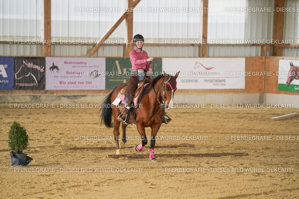 DSC05899 | Pferdegrafie