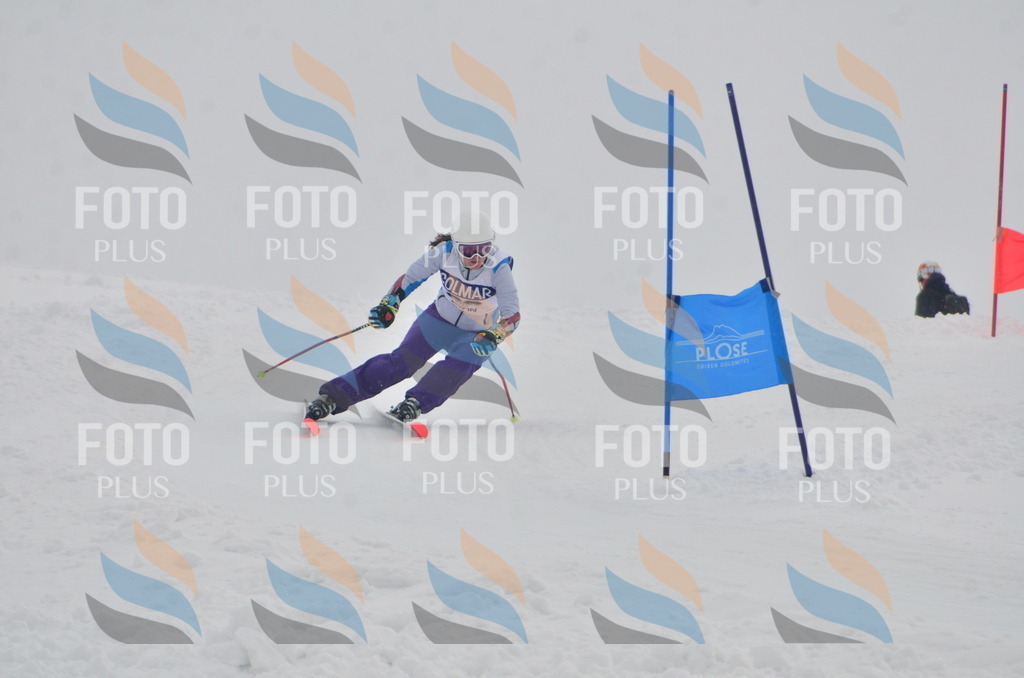 A5861 | holidayphoto