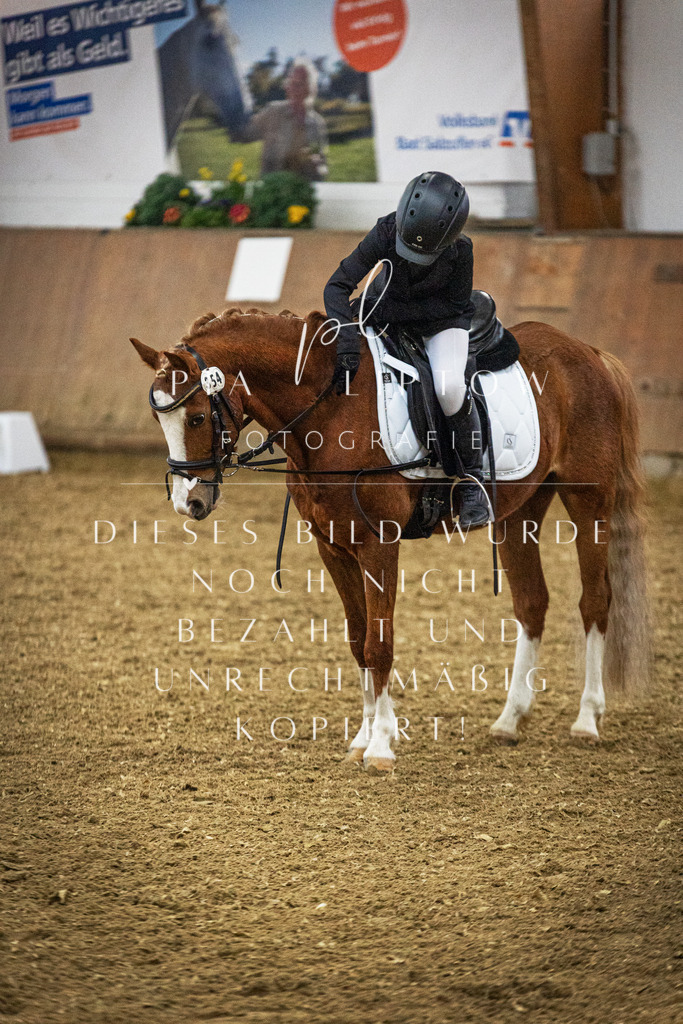 IMGT0631 | pl-fotografie