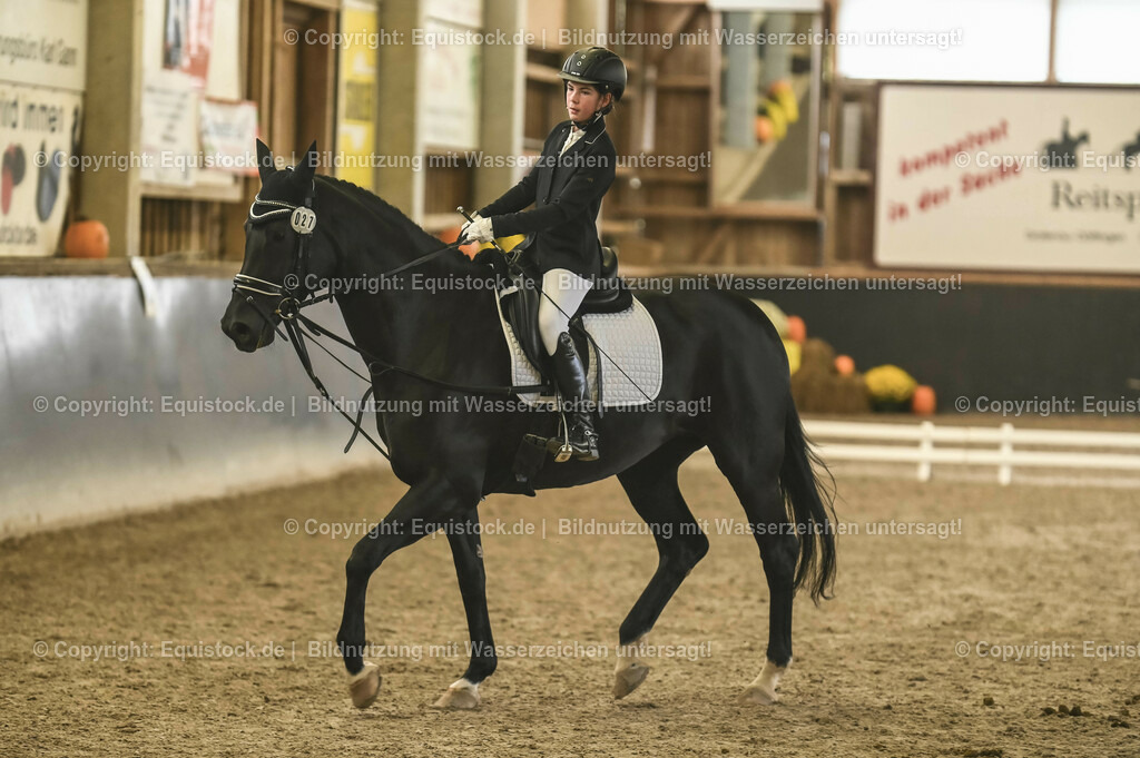20231029_02_Reiter-WB_Schritt-Trab-Galopp_Abteilung-03_0033 | Foto: Thomas Hartig