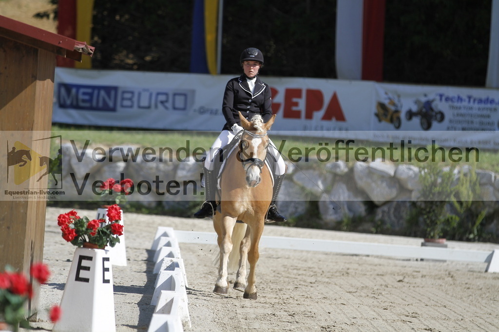 _MG_6505 | equestrian-live-com