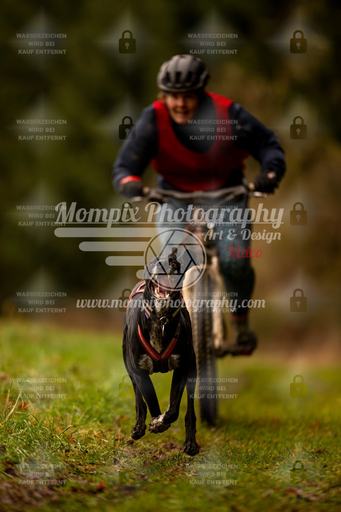 MompixPhotography_2SSTSSBW_2025_SO_Bike-34 | PayLife