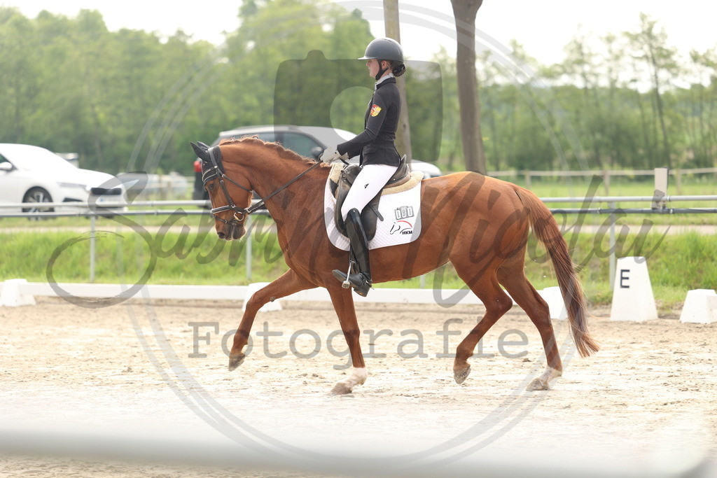 994A6281 | sabrinanicolaifotografie - Realisiert mit Pictrs.com