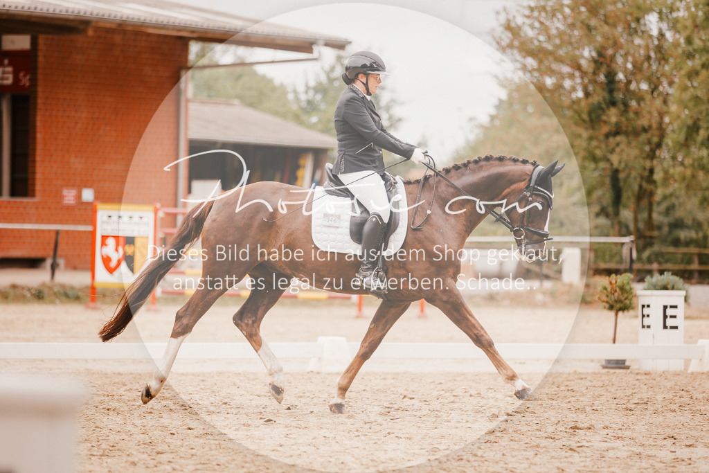 3I6A5868 | Stimmungsvolle Portraits und Reitsportfotografie im Ruhrgebiet und im Münsterland.

Pferdefotografie, Hundefotografie, Tierfotografie, Reportagen, Portraits von Tier und Mensch, Turnierfotografie in Bochum, Recklinghausen, Marl, Haltern am See, Dülmen.. - Realisiert mit Pictrs.com