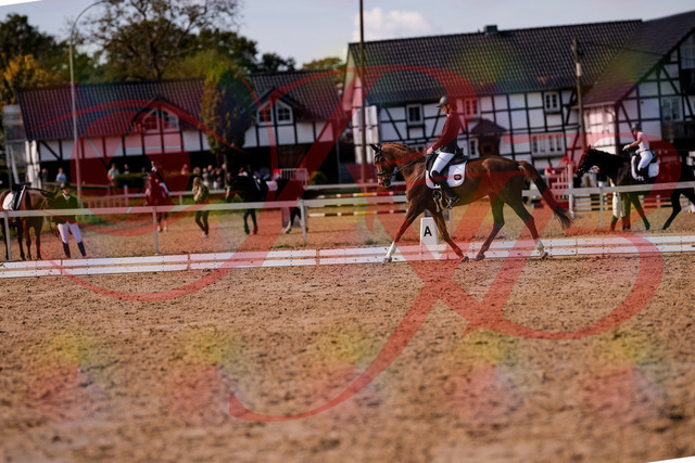 2026_10_03_Siefer-Hof_133143_Z81_86210762 | Professionelle Reitsport-, Turnier- und Eventfotografie von Robert Broda. Galerien mit ausgewählten und bearbeiteten Bildern direkt online ansehen und bestellen.