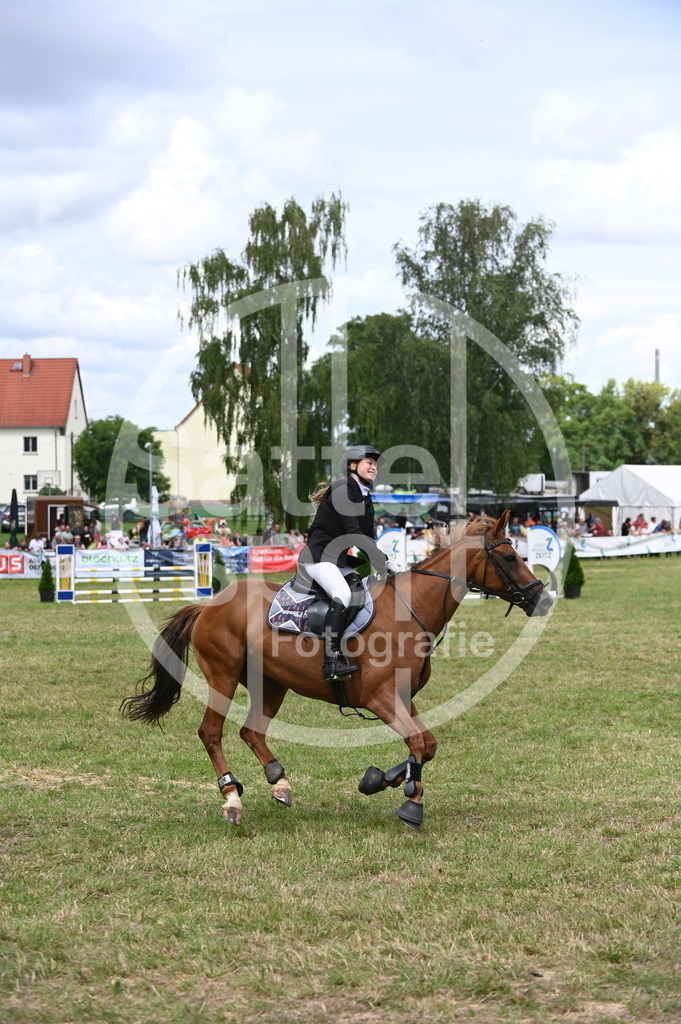 DSC_6403 | sattelsport - Realisiert mit Pictrs.com