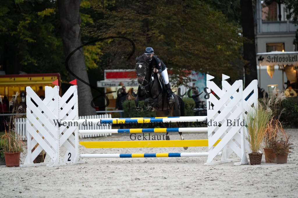 A7V08752 | Turnier/Reitfotograf