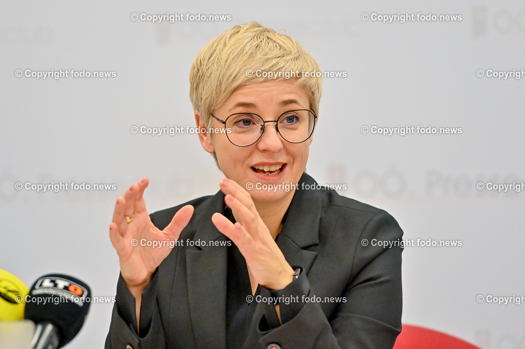 Pressekonferenz WKO OÖ_ Energiekosten bleiben Dauerbrenner_ 23.01.2023-4 | 23.01.2023, Presseclub Linz, AUT, Pressekonferenz WKO Ooe, Energiekosten bleiben Dauerbrenner im Bild Doris Hummer (Praesidentin der Wirtschaftskammer Ooe)
