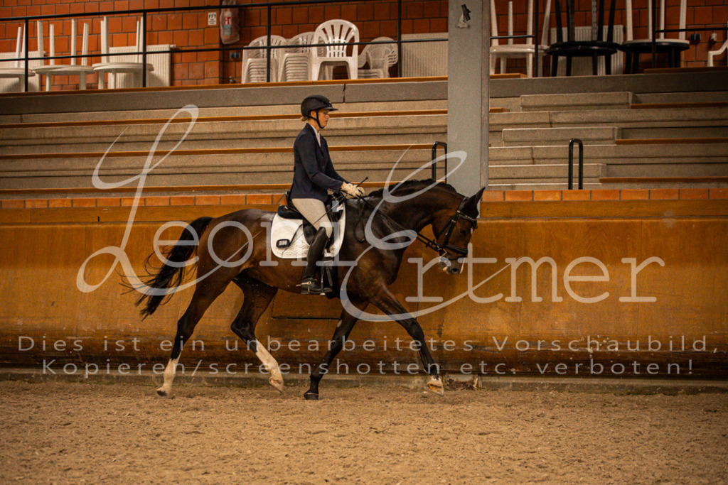 2Reiten00318 | Leoni Ertmer Photography - Realisiert mit Pictrs.com