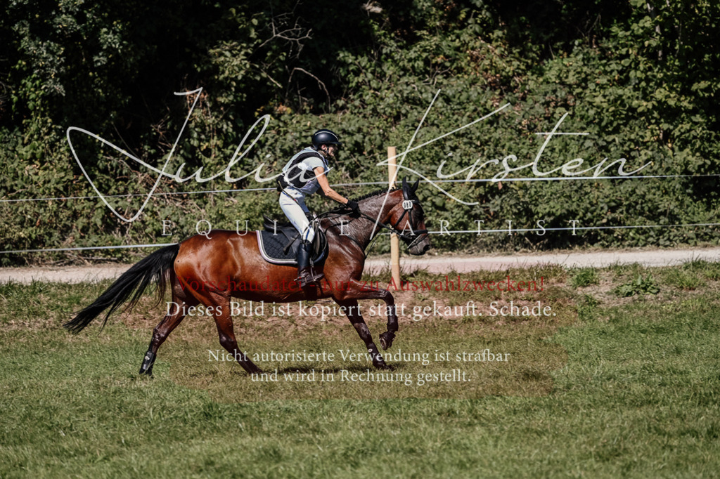 DSC_1753 | Pferde- und Turnierfotografie in Westsachsen. Pferdeportraits, Auftragszeichnungen und intuitive Kunst.
